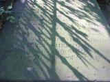 image of grave number 676873